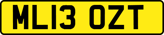 ML13OZT
