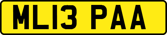 ML13PAA