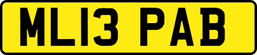 ML13PAB