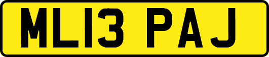 ML13PAJ