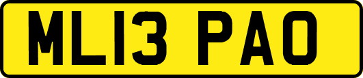 ML13PAO