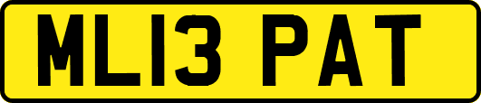 ML13PAT