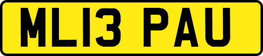 ML13PAU