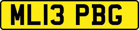 ML13PBG