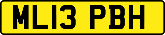 ML13PBH