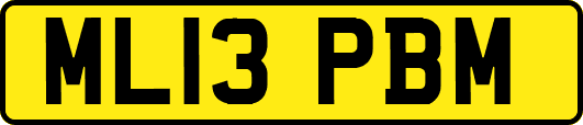 ML13PBM