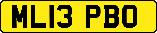 ML13PBO