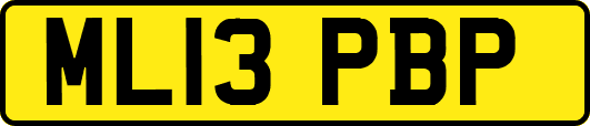 ML13PBP