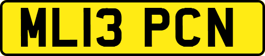 ML13PCN