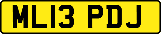 ML13PDJ