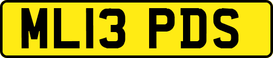 ML13PDS