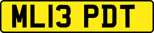 ML13PDT