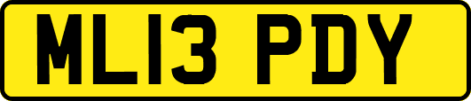 ML13PDY