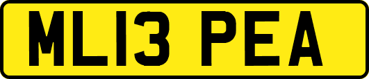 ML13PEA