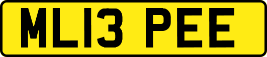 ML13PEE