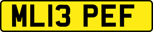 ML13PEF