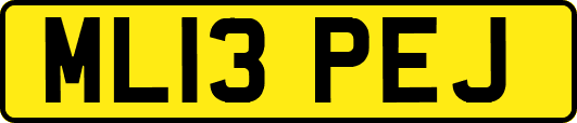ML13PEJ