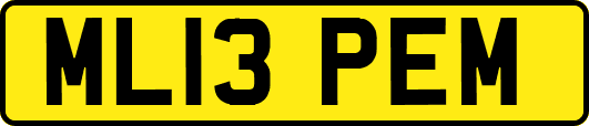 ML13PEM