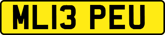 ML13PEU