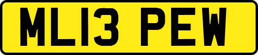 ML13PEW