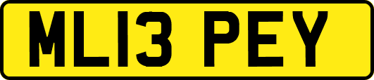 ML13PEY