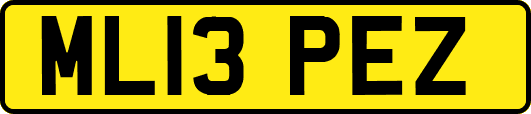 ML13PEZ