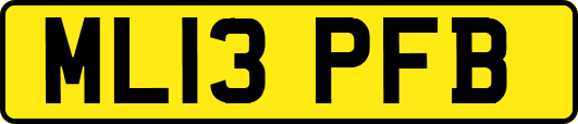 ML13PFB