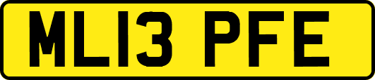 ML13PFE