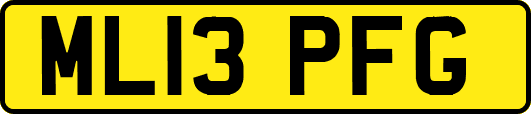 ML13PFG