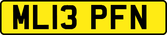 ML13PFN