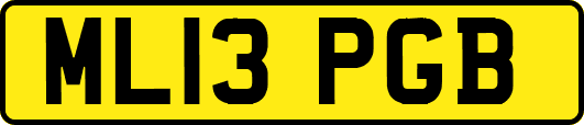 ML13PGB