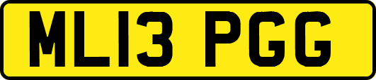 ML13PGG