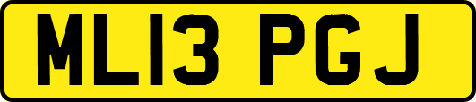 ML13PGJ