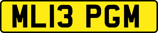 ML13PGM