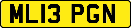 ML13PGN