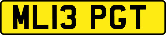 ML13PGT