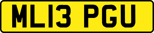 ML13PGU