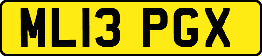 ML13PGX