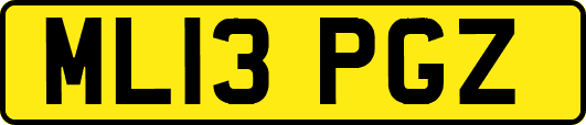 ML13PGZ