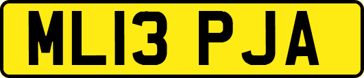 ML13PJA