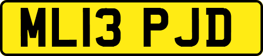 ML13PJD