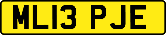 ML13PJE