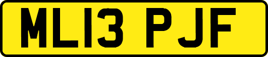 ML13PJF