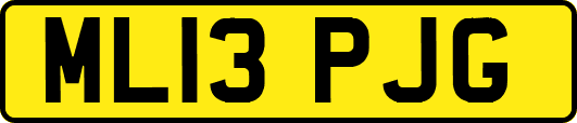 ML13PJG