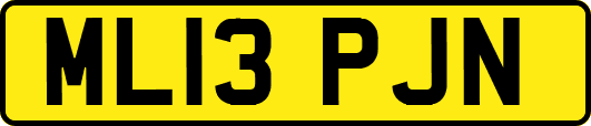 ML13PJN