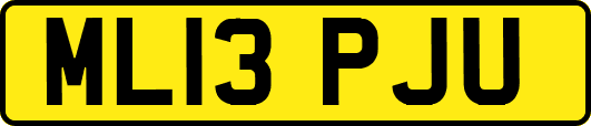 ML13PJU
