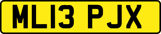 ML13PJX