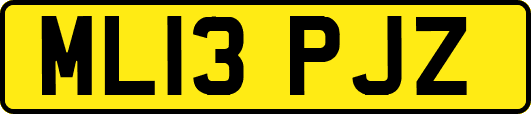 ML13PJZ