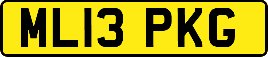 ML13PKG