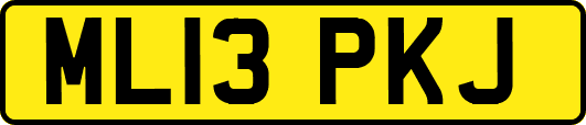 ML13PKJ